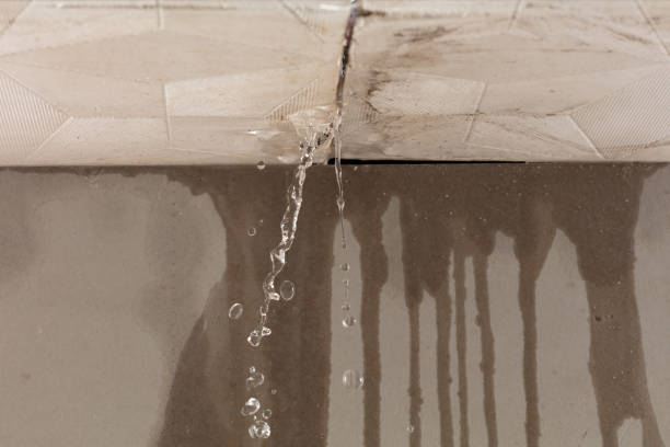 Professional Water Damage Repair technician working in South Richmond Hill, NY